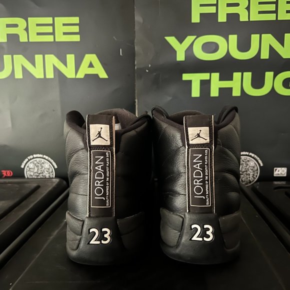 Air Jordan 12 Retro 'The Master' - Picture 8 of 11